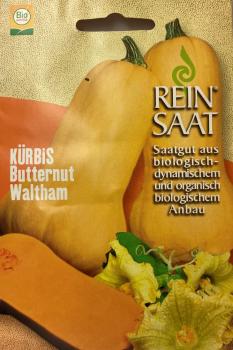 Kürbis Butternut Waltham Bio Austria Samen - Saatgut biologisch Reinsaat